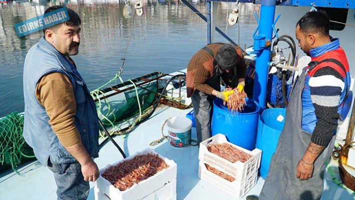 Yasak kalktı balıkçılar hareketlendi