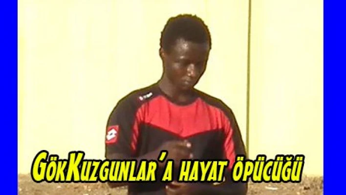 GökKuzgunlar'a hayat öpücüğü