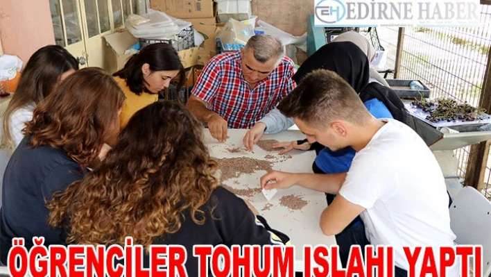 Tohumların ıslahını öğrencileri yapıyor