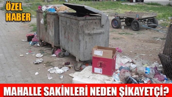 'Sorun sadece taciz değil'