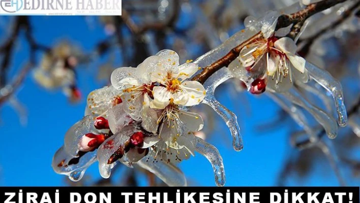 Zirai Don Tehlikesine Dikkat!