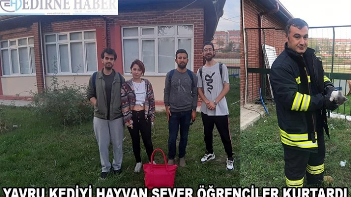 Yavru kediyi hayvan sever öğrenciler kurtardı