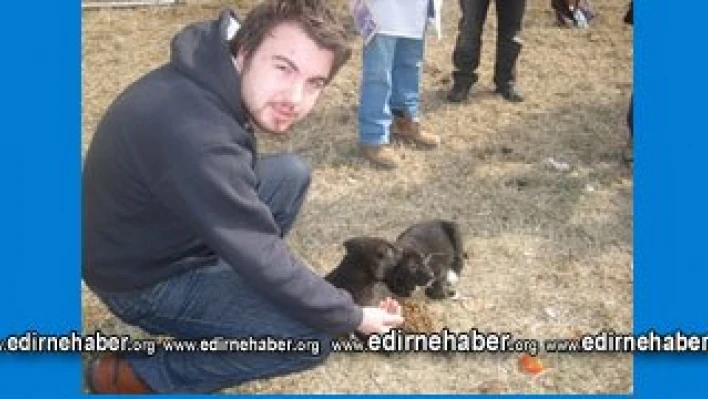Türk-Alman yardımlaşması hayvanları sevindirdi