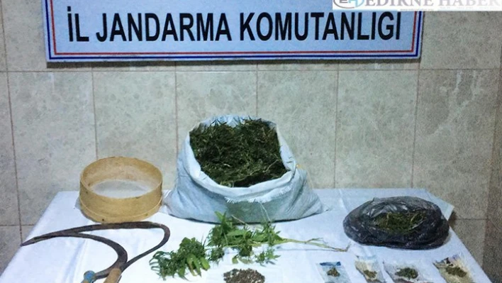 Operasyon düzenlendi