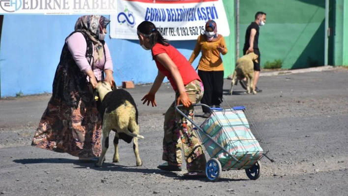 Kurbanlar  tedbirlere uyularak kesildi