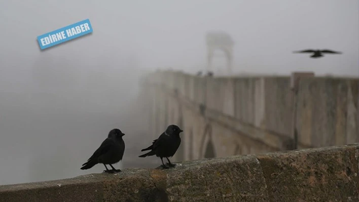 Gün boyu etkili olacak