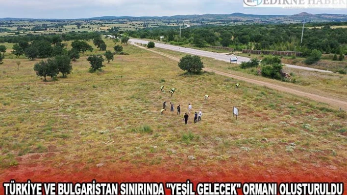 Türkiye ve Bulgaristan sınırında 'Yeşil Gelecek' Ormanı oluşturuldu