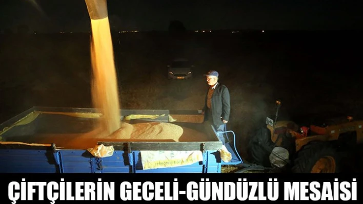Gece-gündüz biçiyorlar