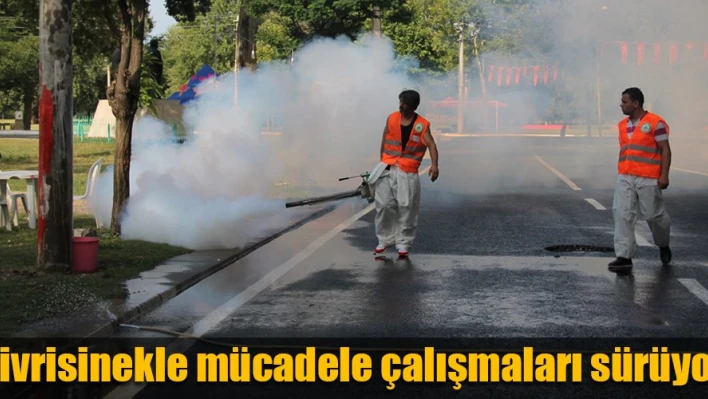 Güreş öncesi Sivrisinek mücadelesi