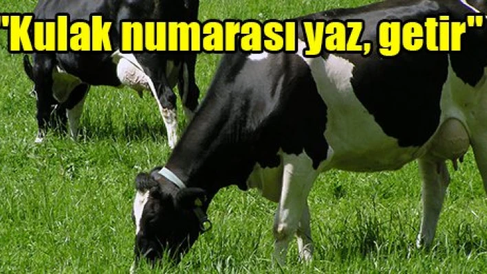 'Kulak numarası yaz getir'