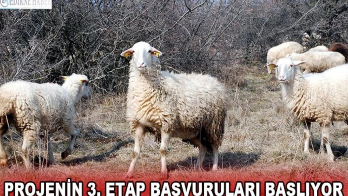 Projenin 3. Etap başvuruları başlıyor