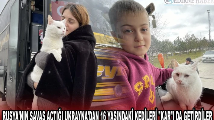 RUSYA'NIN SAVAŞ AÇTIĞI UKRAYNA'DAN 16 YAŞINDAKİ KEDİLERİ 'KAR'I DA GETİRDİLER