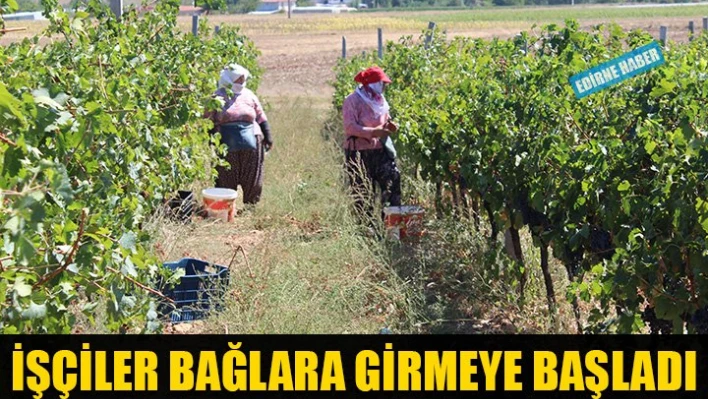 Makaslar kesmeye başladı