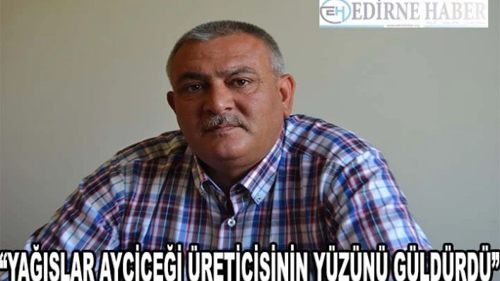 'Yağışlar ayçiçeği üreticisinin yüzünü güldürdü'