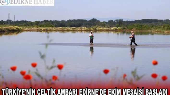 Türkiye'nin çeltik ambarı Edirne'de ekim mesaisi başladı