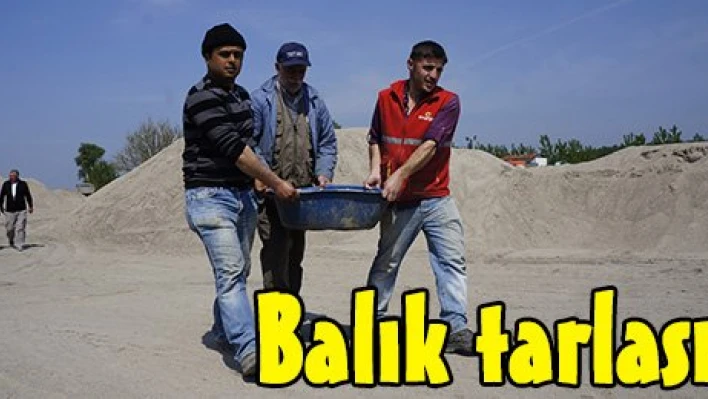 Balık tarlası