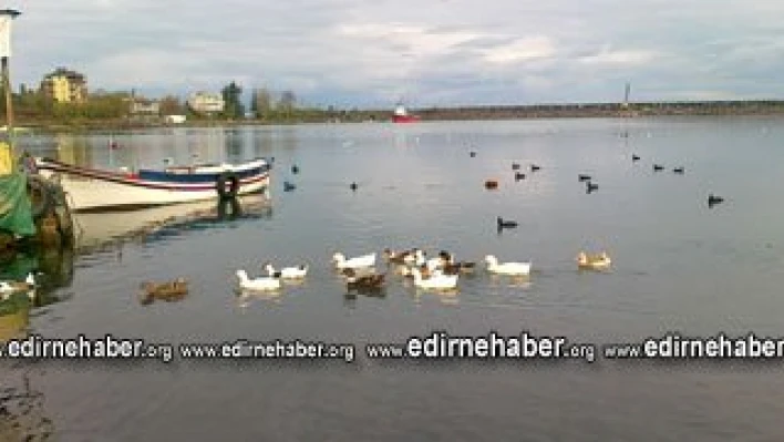 İmamlar sahnede