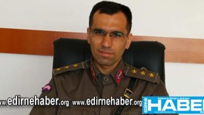 Ağaçları budadılar