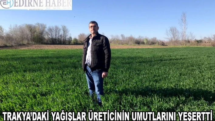 Trakya'daki yağışlar üreticinin umutlarını yeşertti