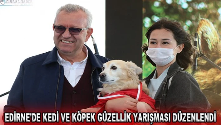 Edirne'de kedi ve köpek güzellik yarışması düzenlendi