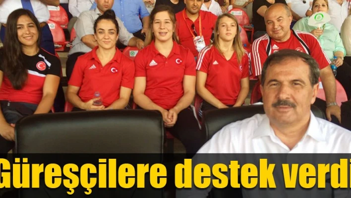 Milletvekili desteği