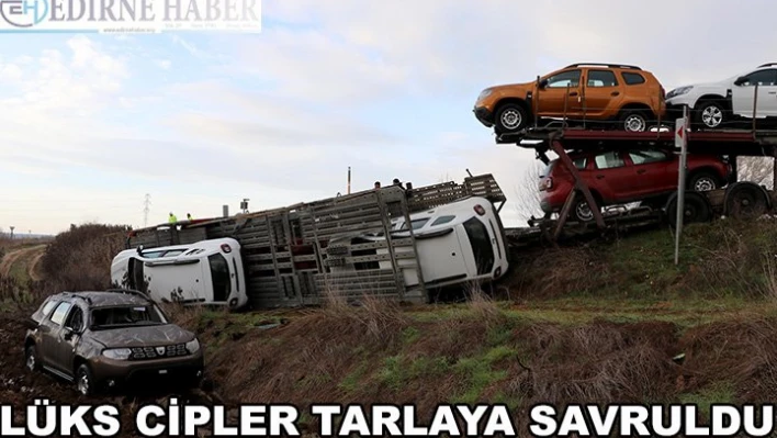 Sıfır kilometre cipleri taşıyan tır tarlaya devrildi