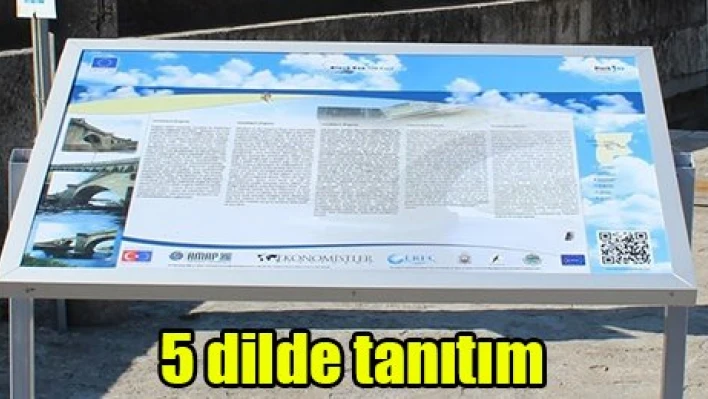 5 dilde tanıtım