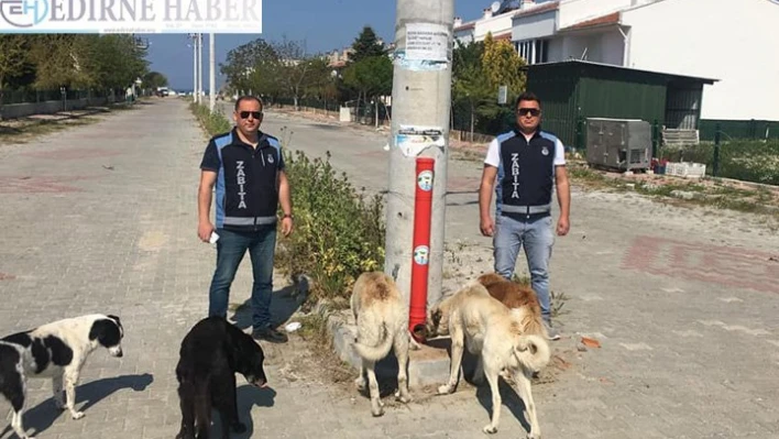 Su borusundan mama kapları üretildi