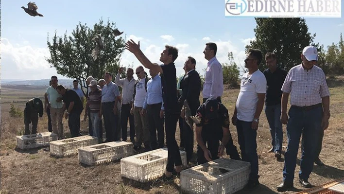 Keklikler doğaya bırakıldı