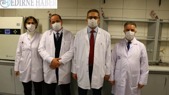 Türk bilim insanları arıların gen haritasını çıkaracak