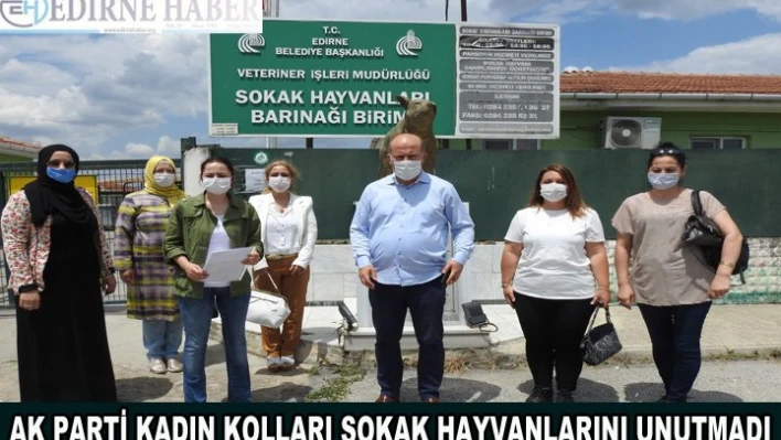 AK Parti Kadın Kolları sokak hayvanlarını unutmadı