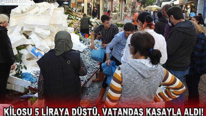 Kilosu 5 liraya düştü, vatandaş kasayla aldı!