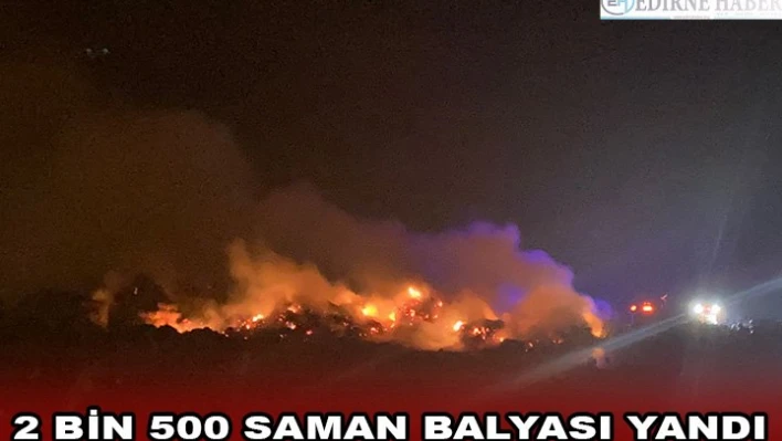 2 bin 500 saman balyası yandı