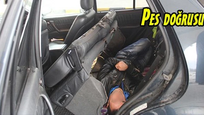 Pes doğrusu