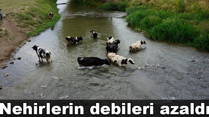 Nehirlerin debileri düştü