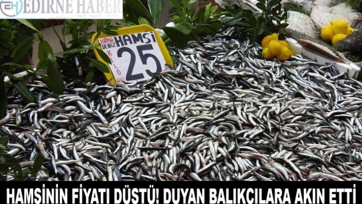HAMSİNİN FİYATI DÜŞTÜ! DUYAN BALIKÇILARA AKIN ETTİ