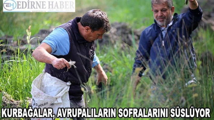 Gece gündüz kurbağa avlıyorlar