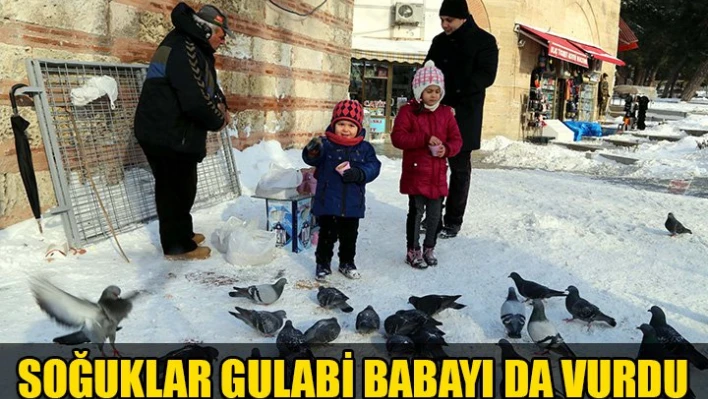 Geçimi Güvercinden