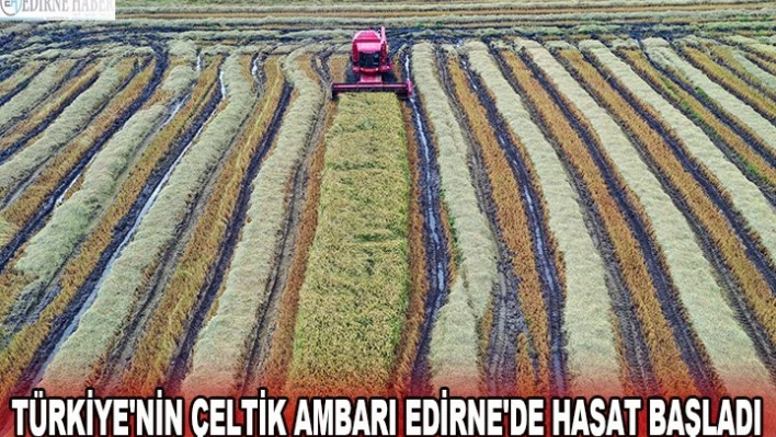 TÜRKİYE'NİN ÇELTİK AMBARI EDİRNE'DE HASAT BAŞLADI