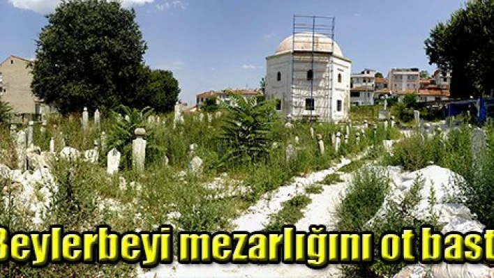 Beylerbeyi mezarlığını ot bastı