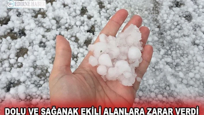 Dolu ve sağanak ekili alanlara zarar verdi