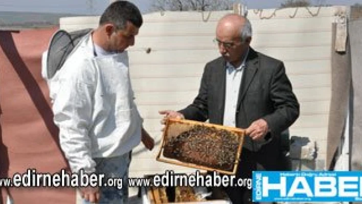 Sahte Bal, hakiki bal üreticisini üzüyor