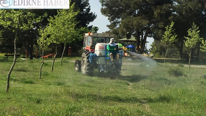  Çocuk parkları ve mesire alanları ilaçlandı