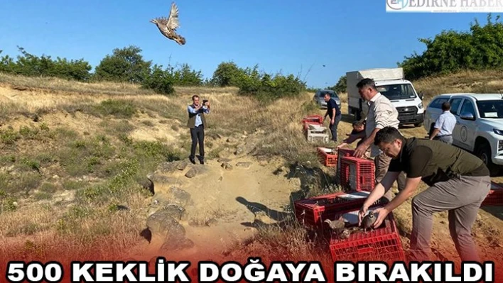 500 keklik doğaya bırakıldı