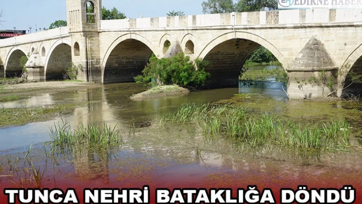 TUNCA NEHRİ BATAKLIĞA DÖNDÜ