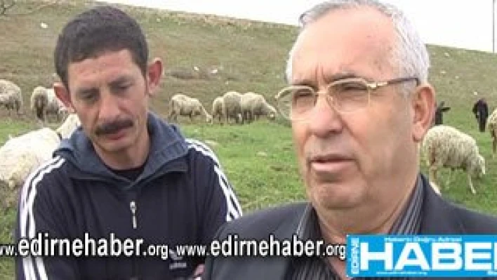 Çobanlara güvence gelecek mi?