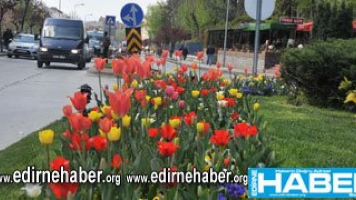 Edirne Sarı kırmızı oldu