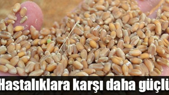 Yüksel çiftçinin emrindeâ€¦