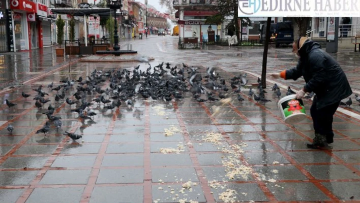 Kısıtlamada meydanlardaki güvercinleri unutmadı