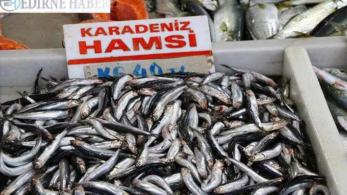 Hamsi, yüzleri güldürüyor